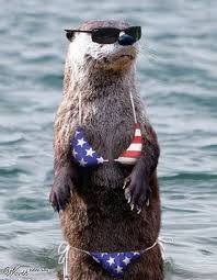 Photo#10-OtterSwimSuit