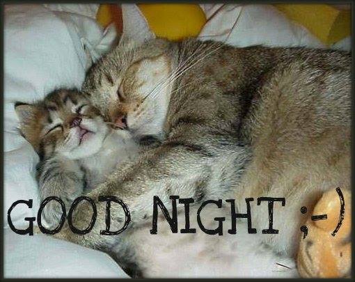 Photo#24-GoodNight