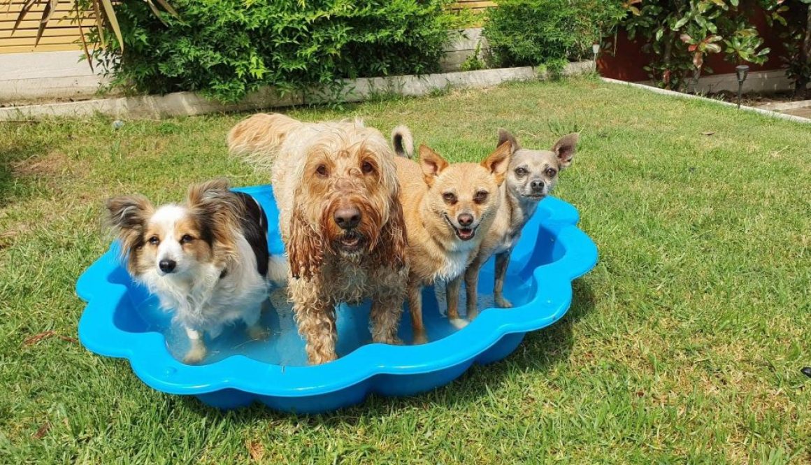 cooling-off