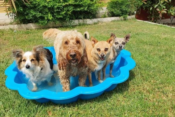 cooling-off