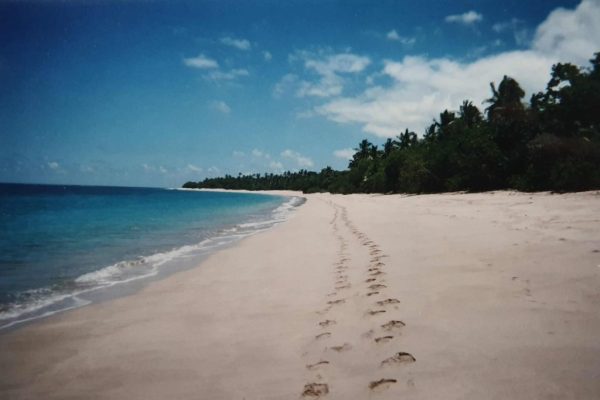 Tonga-30